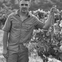 Alfredo maestro en el viñedo