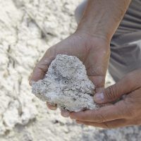 Suelo calizo viñedo